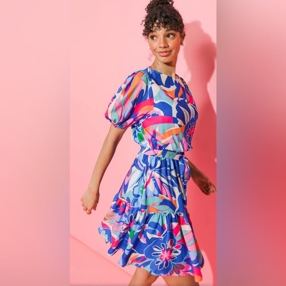 NWT- wild flower floral woven mini dress - Picture 4 of 8